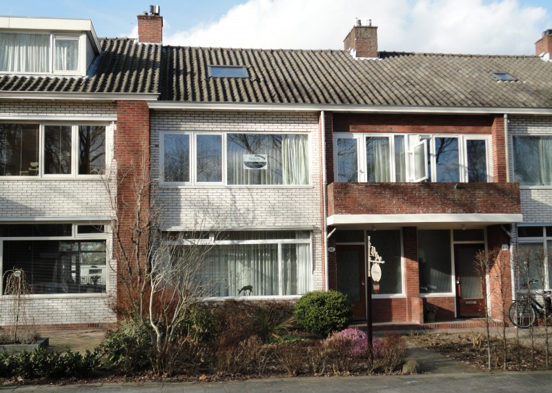 De Savornin Lohmanlaan